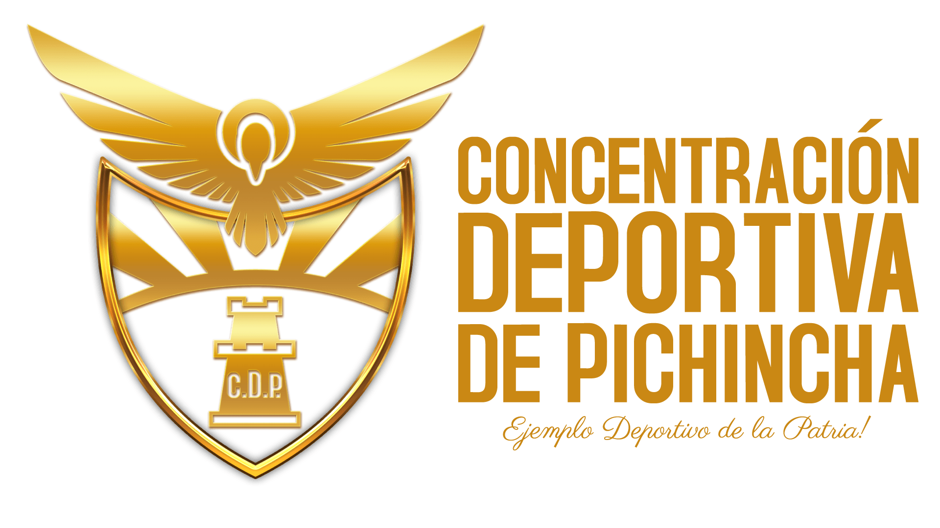 Concentración Deportiva De Pichincha LOGO
