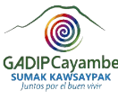 GAD Municipal Del Cayambe LOGO