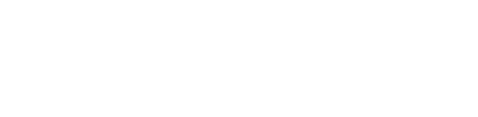   Namirial 1